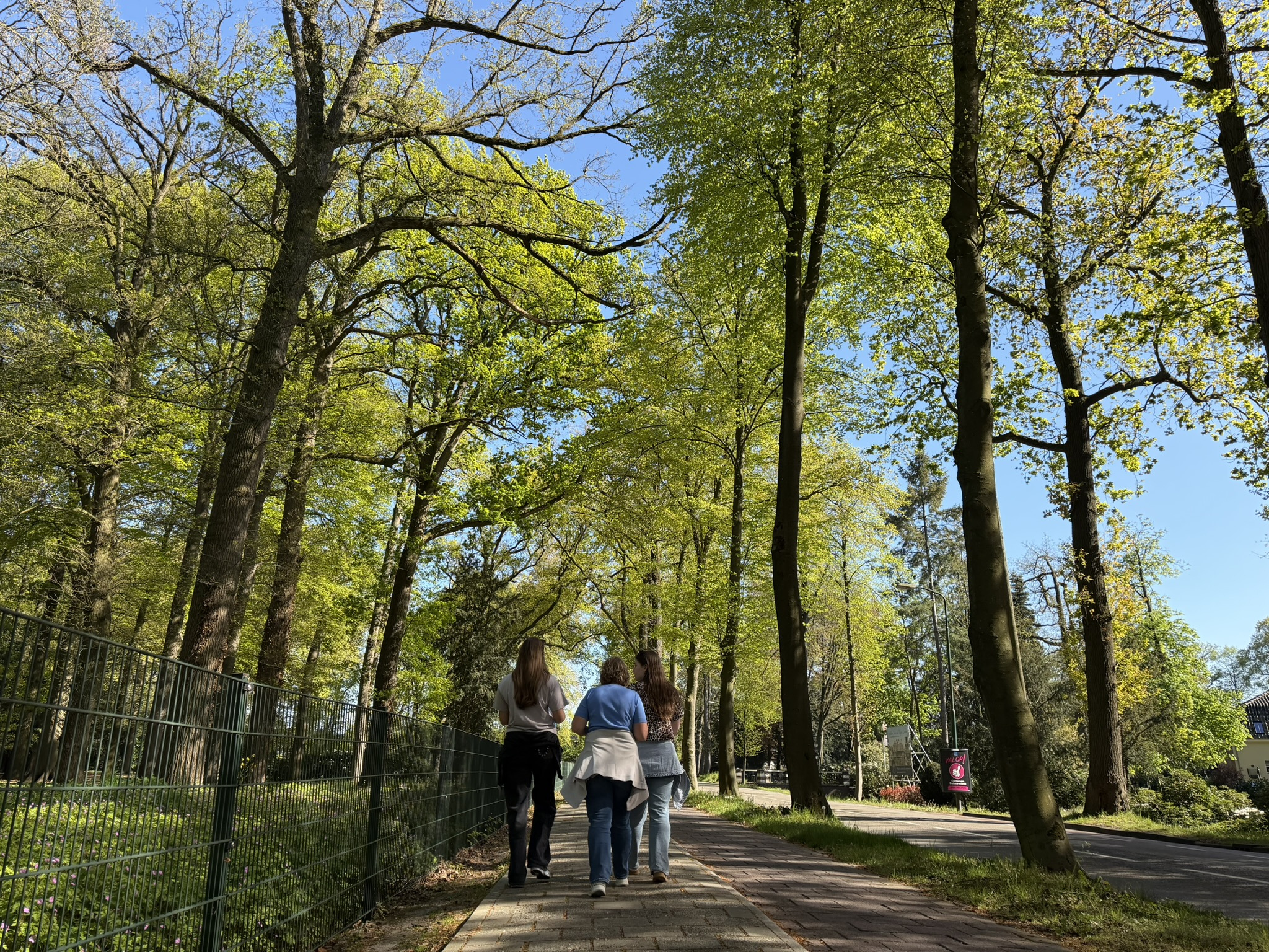 Avontuurfabriek City Game Het Loosdrecht Mysterie 6210